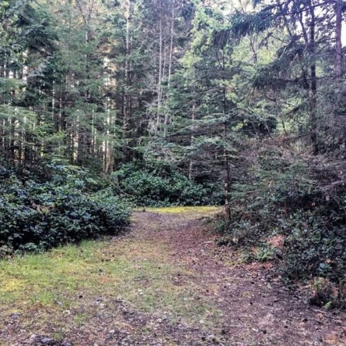 And more Paths