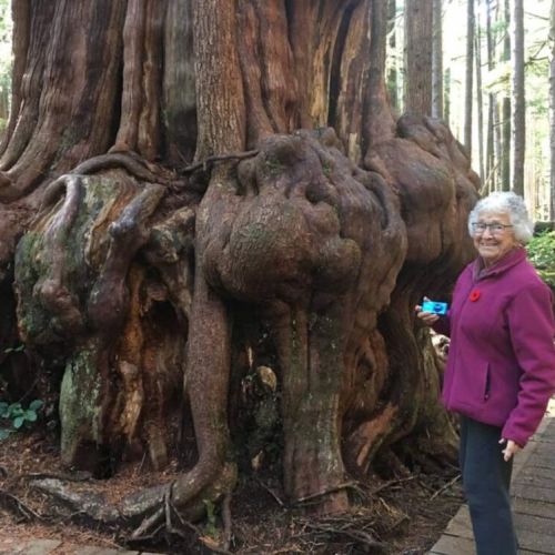 Mum, at 94, at the base of a Gnarly Tree