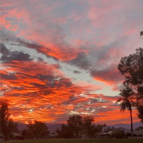 Backyard Sunset