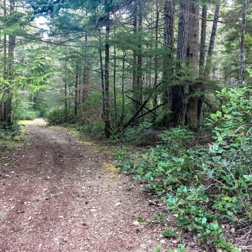 More Paths