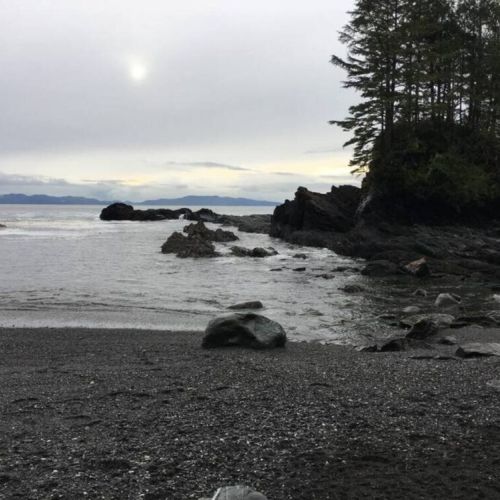 Botanical Beach 2