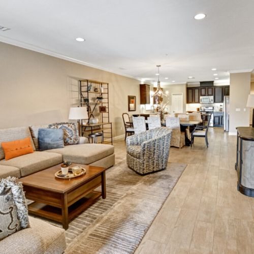 Living Room Area