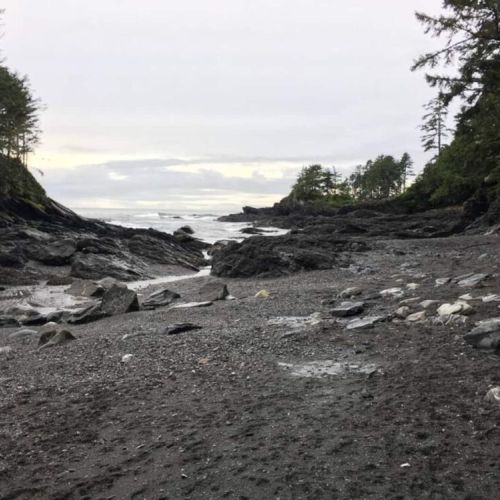 Botanical Beach 3