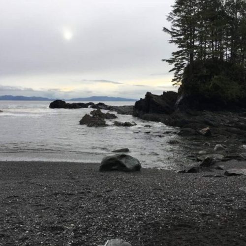 Botanical Beach 2