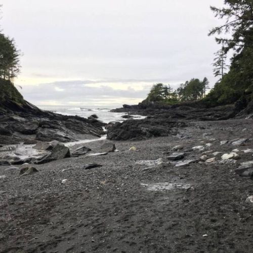 Botanical Beach 3
