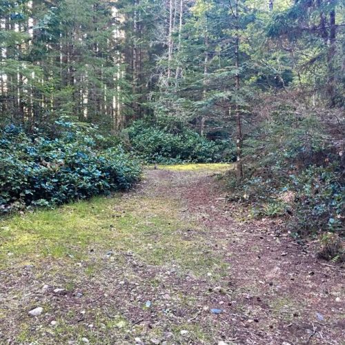 More Paths