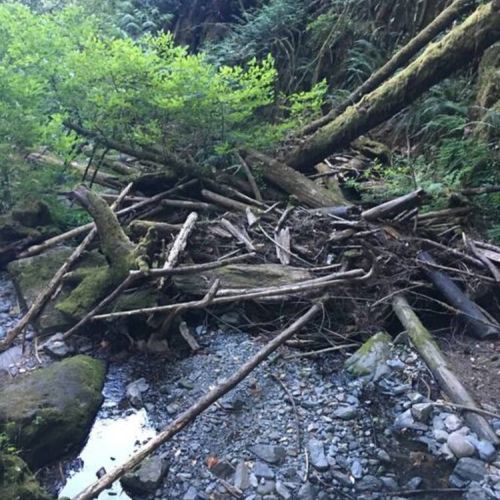 Another one of the creeks