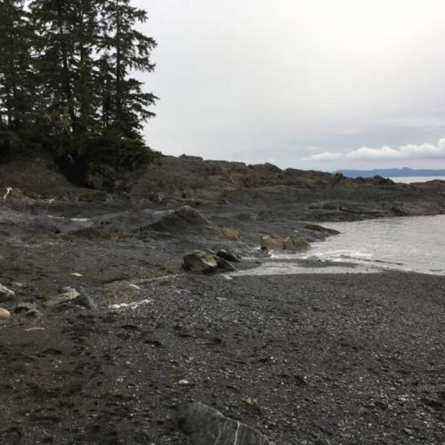 Botanical Beach 1